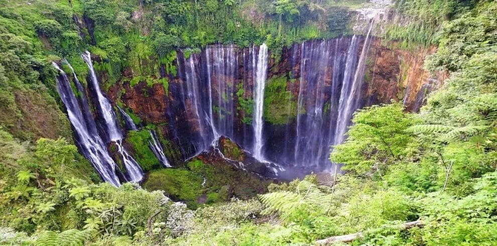 Nature Tour