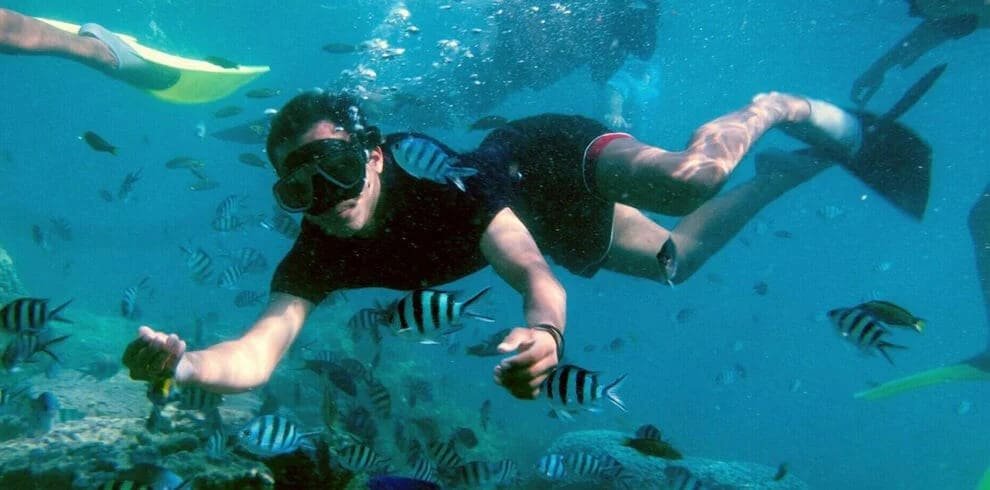 Water Activity