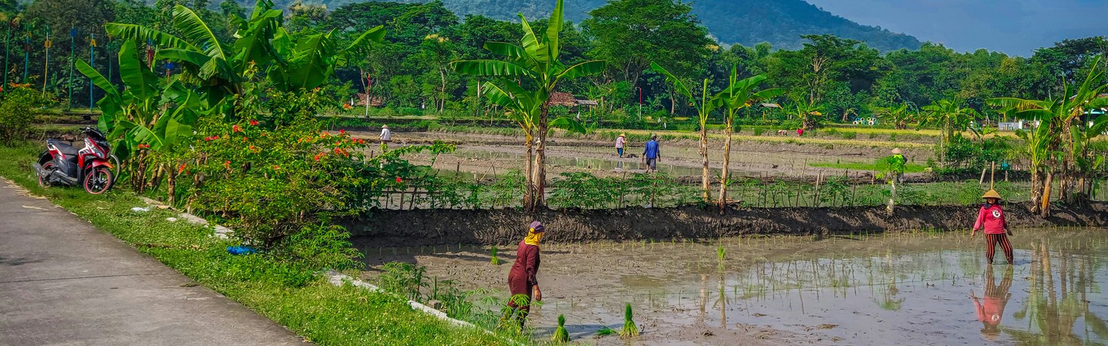 Central Java