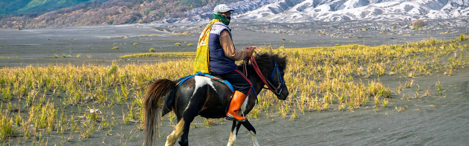Mount Bromo