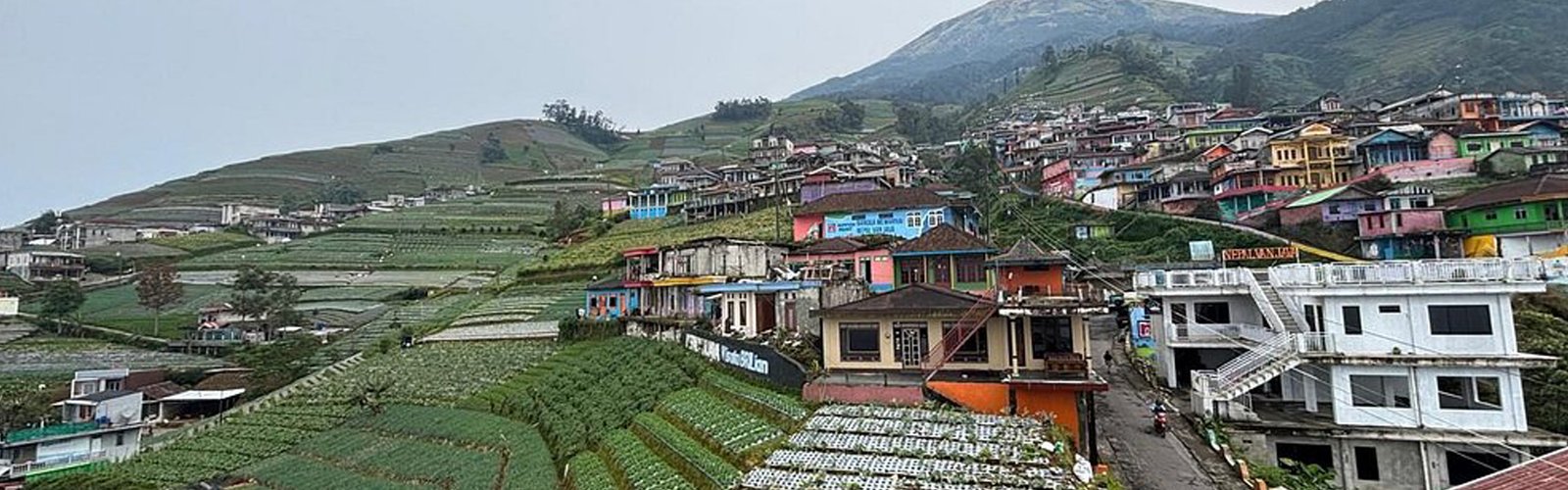 Nepal Van Java