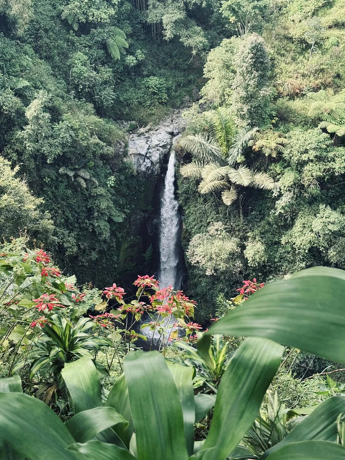 Merapi Volcano Jeep Tour & Kedung Kayang Waterfall