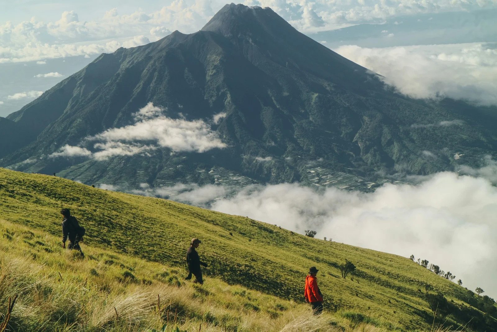 Mount Merbabu Camping 2D1N via Selo