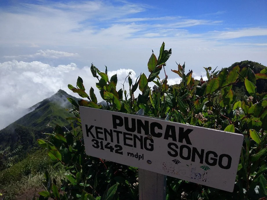 Mount Merbabu Camping (2d1n) via Suwanting