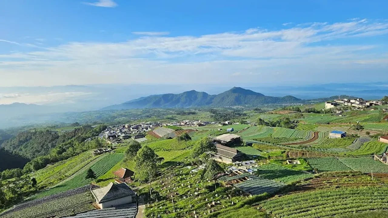 Gal-8 Nepal Van Java