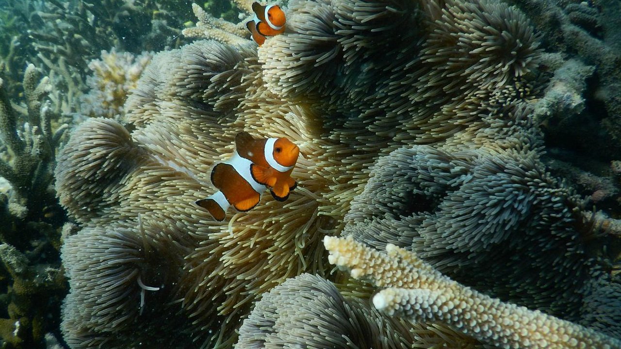 Taste, See, and Experience the Best of Madura Island: A 3-Day Tour from Surabaya