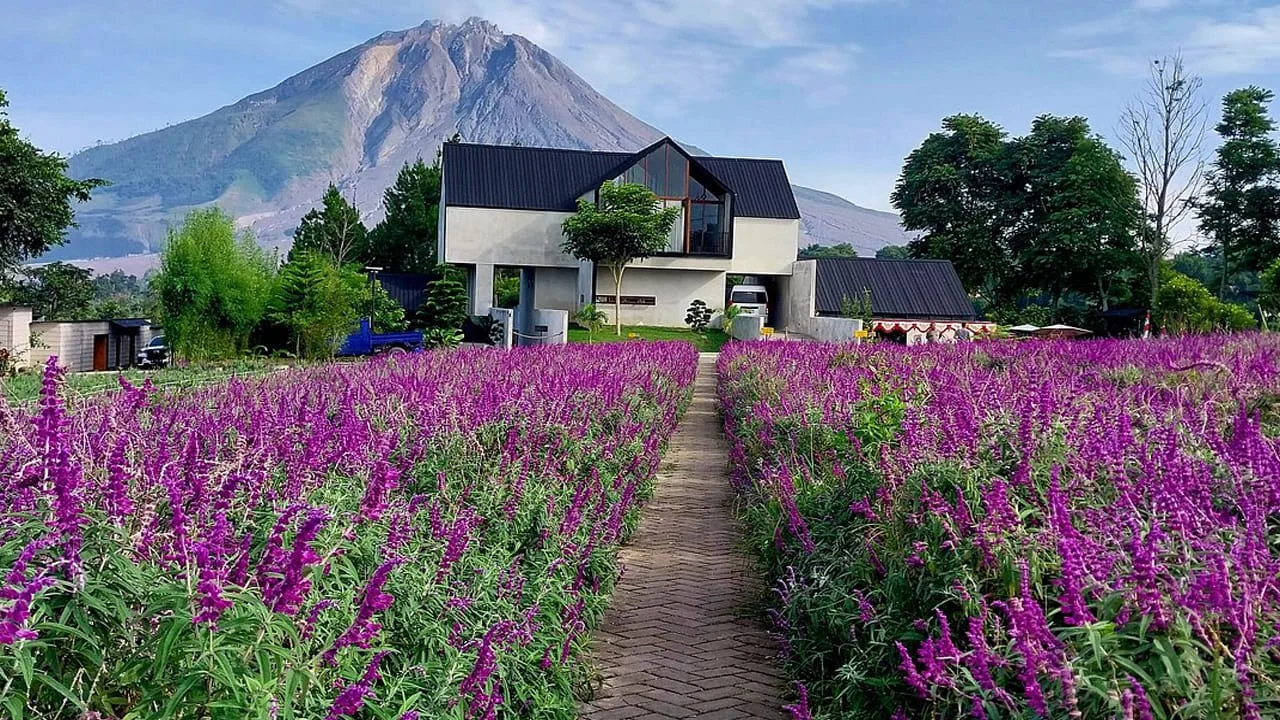 Gal-8 Taman Simalem