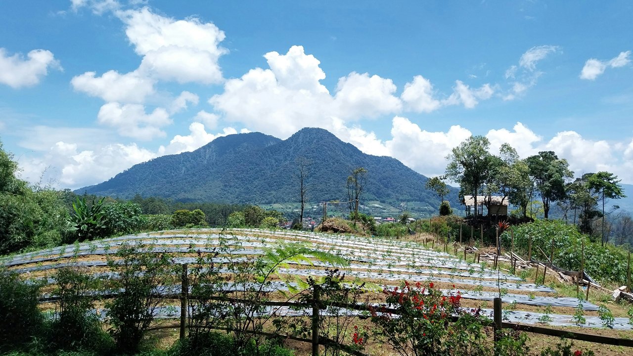 The Scenic Route Exploring the Karo Highlands and SipisoPiso Waterfall
