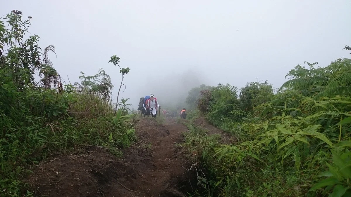 Gal-5 Merbabu