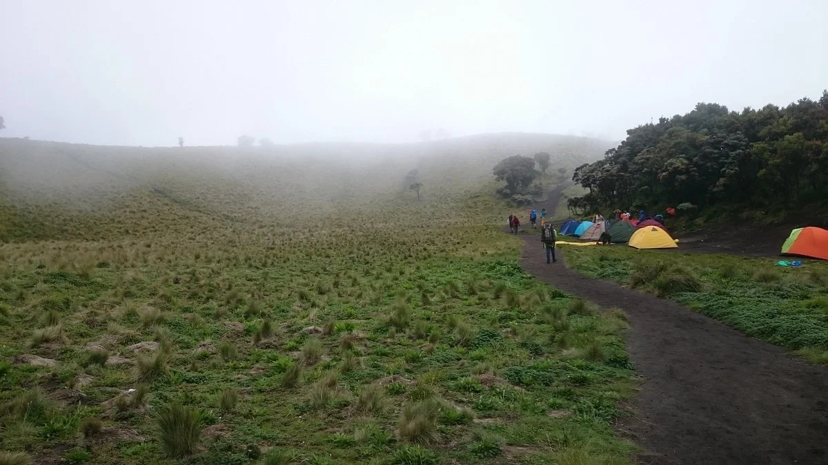 Gal-5 Merbabu