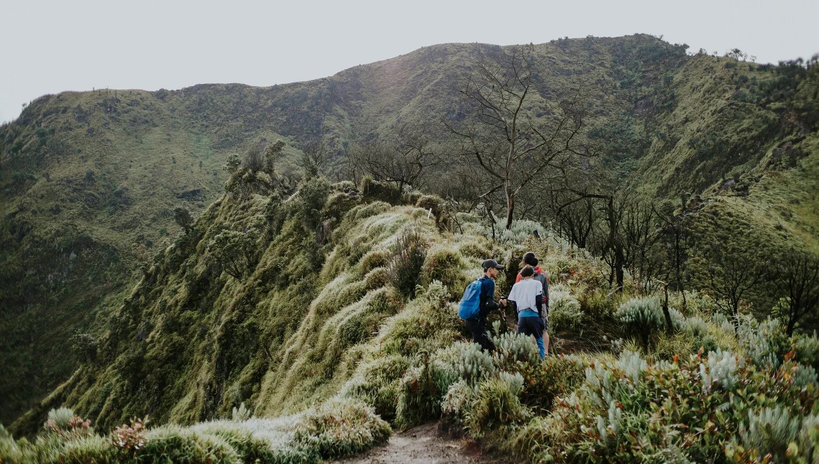 Gal-7 Merbabu