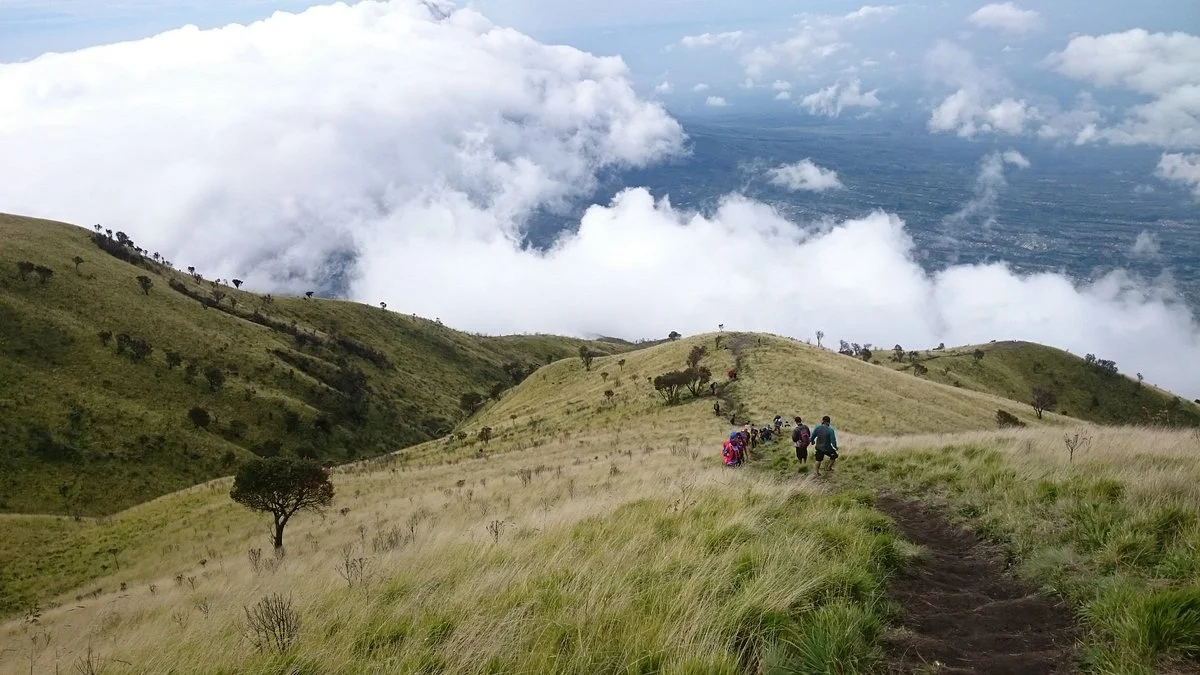 Gal-5 Merbabu