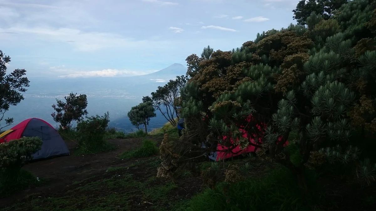 Gal-5 Merbabu