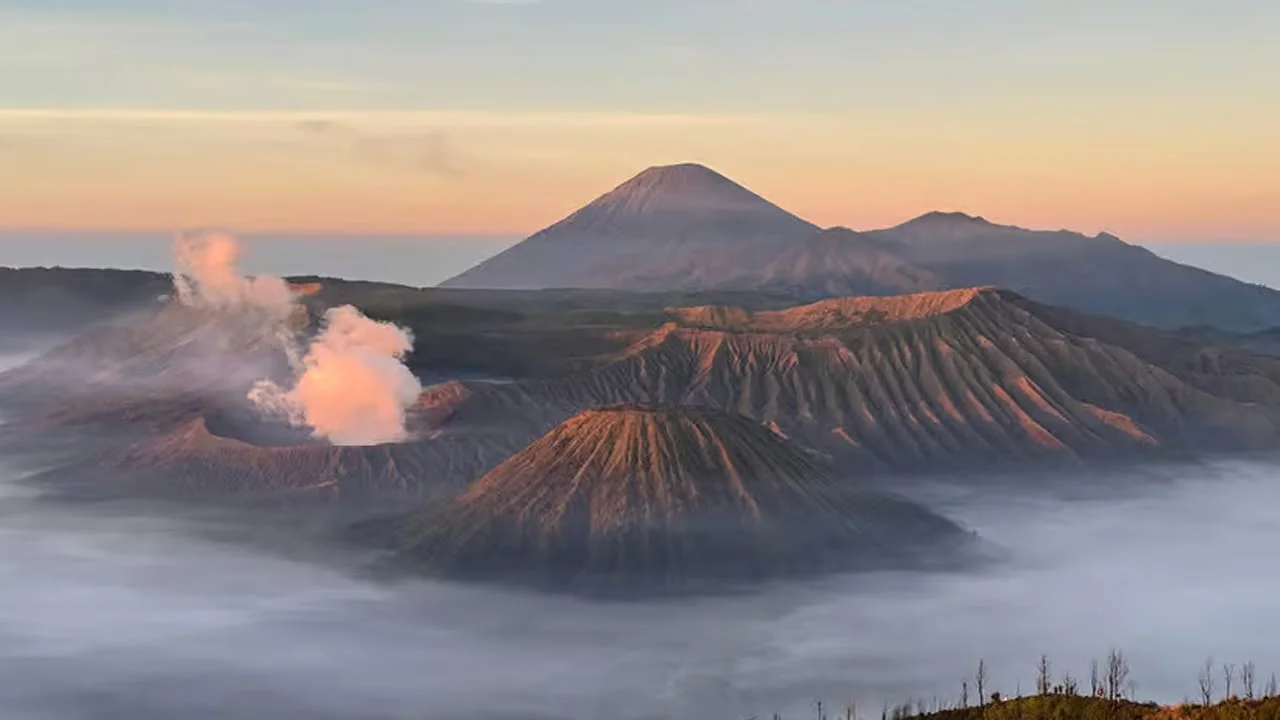 Gal-6 Bromo