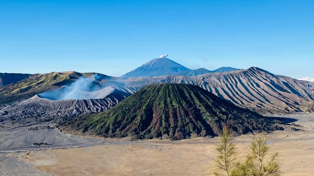 Gal-6 Bromo