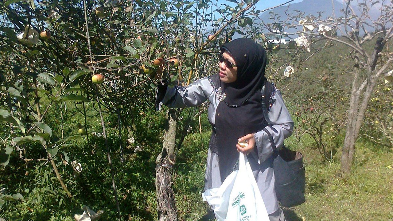 A Journey Through the Best of East Java: Taman Safari Prigen to Jatim Park 2