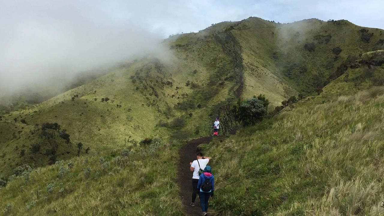 Gal-4 Merbabu