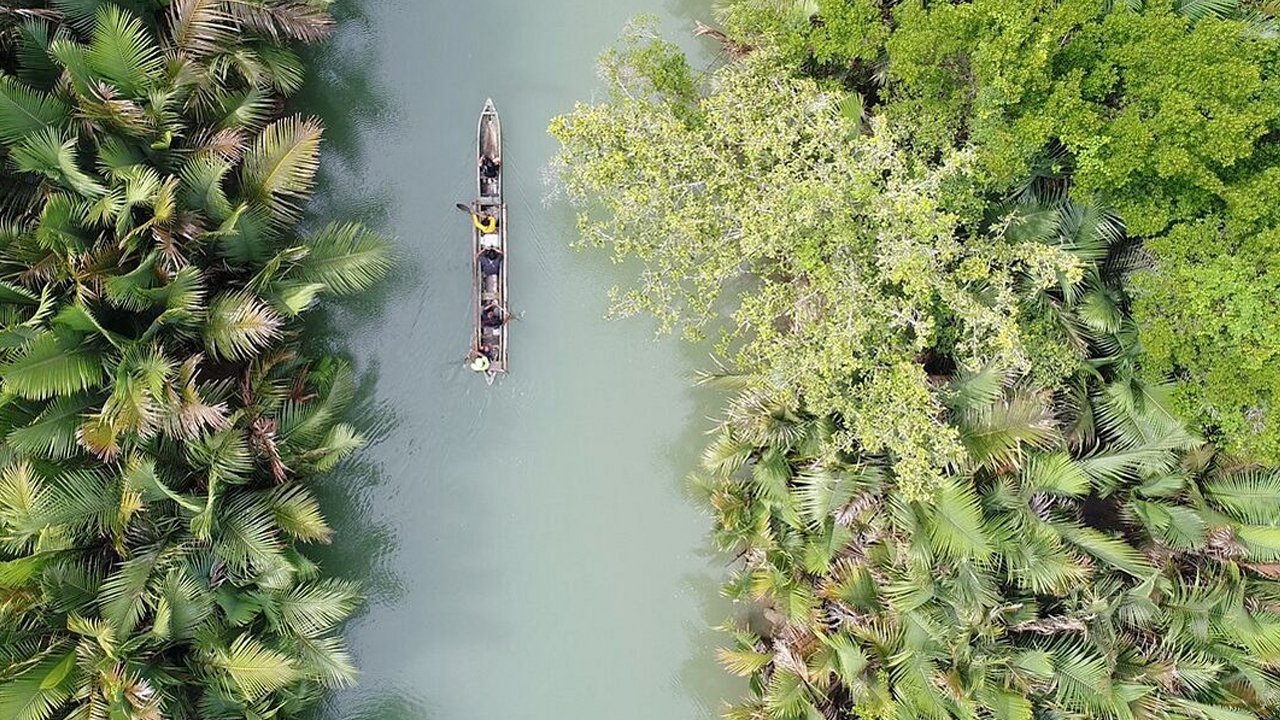 From City to Jungle Embark on a 3D2N Adventure to Ujung Kulon National Park from Jakarta