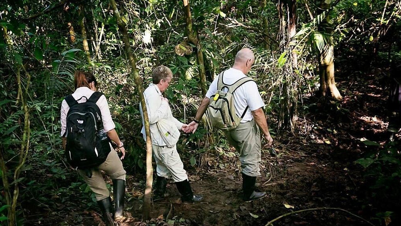From City to Jungle Embark on a 3D2N Adventure to Ujung Kulon National Park from Jakarta