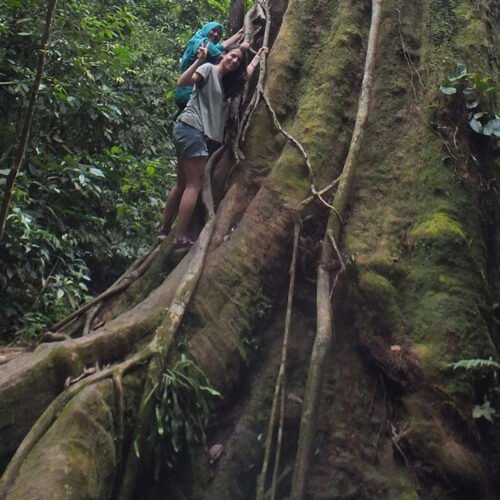 Medan Orangutan Day Trip by Geo Indo Raya