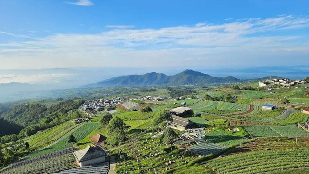 Uncovering the Rich History of Borobudur on a Nepal Van Java Tour