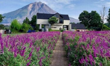 From Waterfalls to Lake Views: The Ultimate Taman Simalem Resort Tour