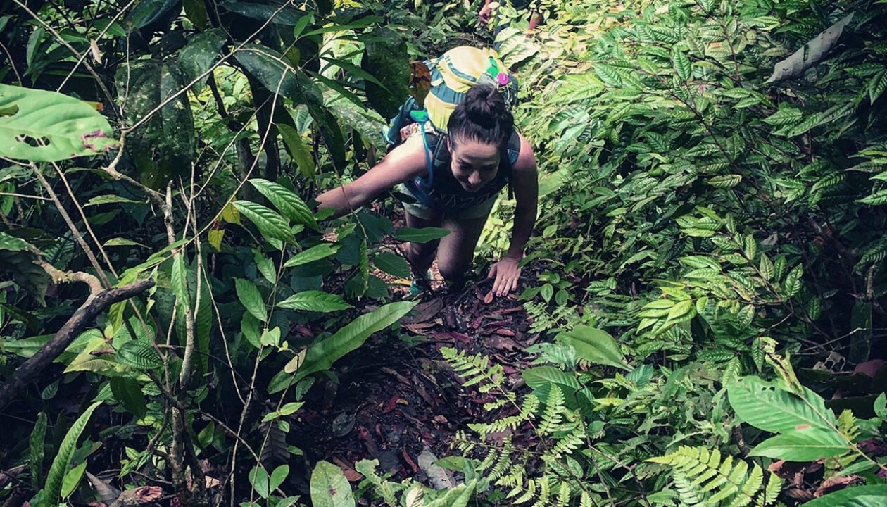 Up Close and Personal with Orangutans: Medan Day Tour.