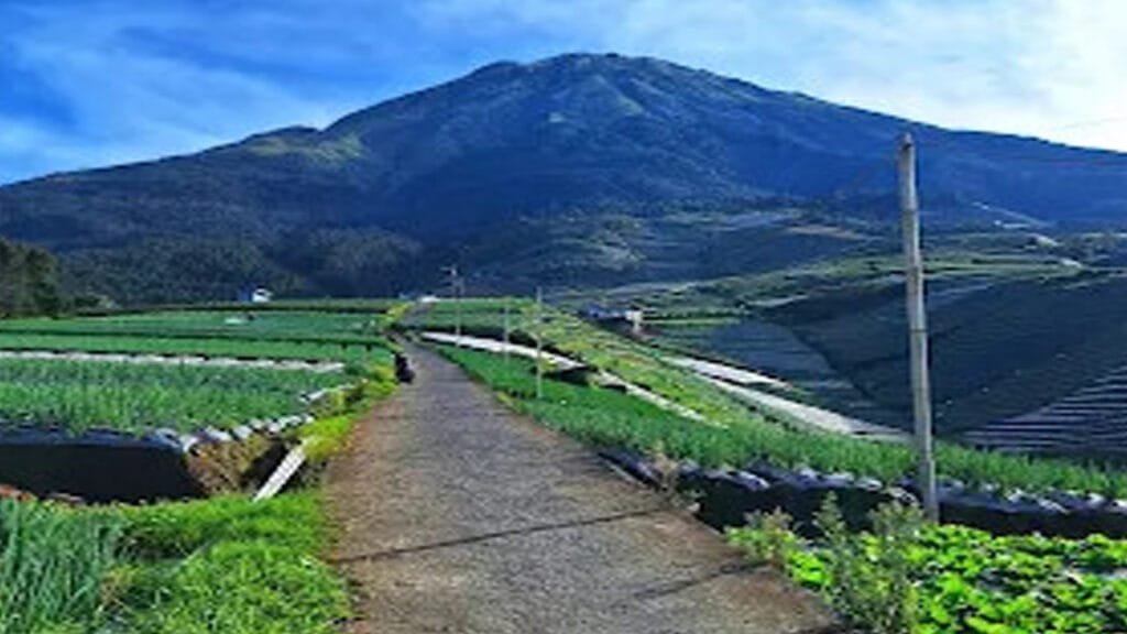 A Fusion of Cultures: Borobudur Temple and Nepal Van Java Tour