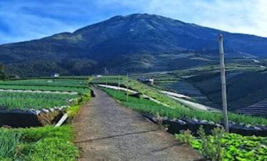 A Fusion of Cultures: Borobudur Temple and Nepal Van Java Tour