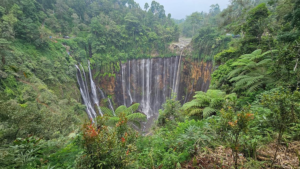 Experience the Best of East Java in 3 Days: Bromo Ijen Tumpak Sewu Tour