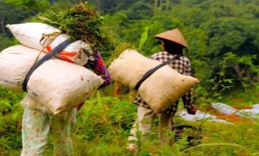 Secrets of Yogyakarta: Unveiling the Hidden Gems of Borobudur and Selogriyo Temple