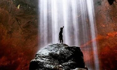 From Darkness to Delight: Exploring the Fascinating Wildlife of Jomblang Cave