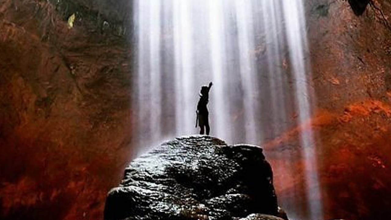 From Darkness to Delight: Exploring the Fascinating Wildlife of Jomblang Cave