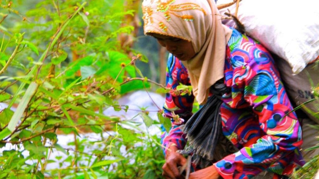 Breathtaking Landscapes and Rich History: A Day Trip to Borobudur and Selogriyo Temple