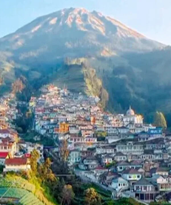 Nepal Van Java