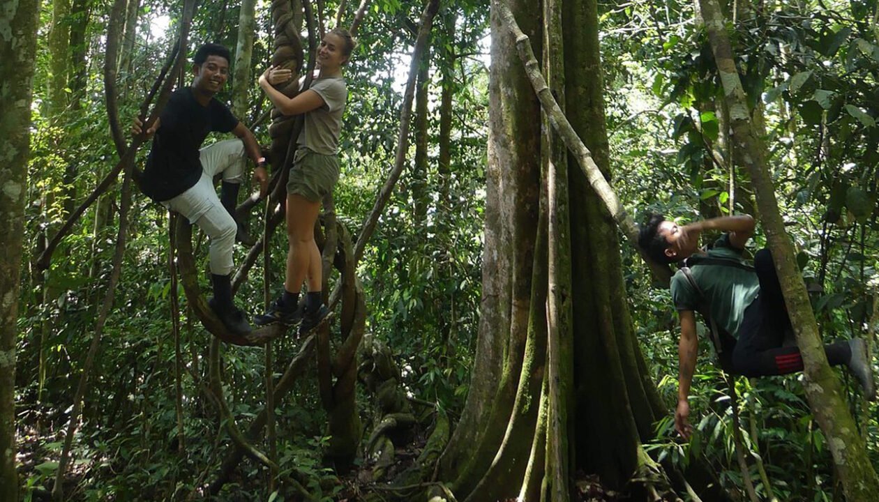 From Medan to the Jungle: A Day Trip to See Orangutans.