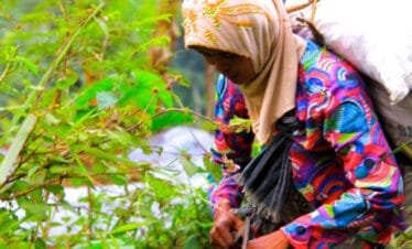 Breathtaking Landscapes and Rich History: A Day Trip to Borobudur and Selogriyo Temple