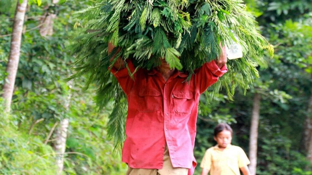 Borobudur and Selogriyo Temple: A Must-See Tour for Culture Enthusiasts