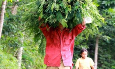 Borobudur and Selogriyo Temple: A Must-See Tour for Culture Enthusiasts