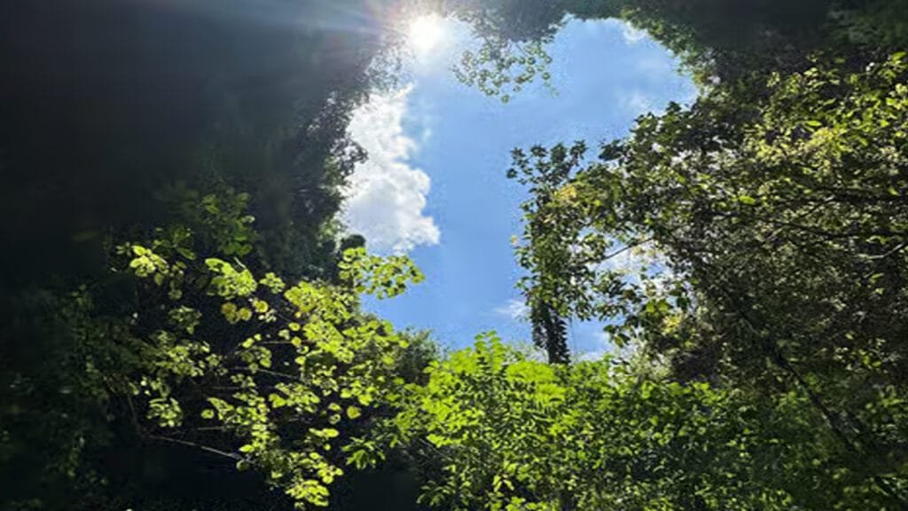 Journey into the Depths: Exploring Jomblang Cave on the Merapi Jeep Sunrise Tour
