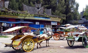 Experience the Beauty of Berastagi: A Full-Day Trip from Medan