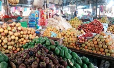 From Mountains to Waterfalls: A Full-Day Tour of Berastagi