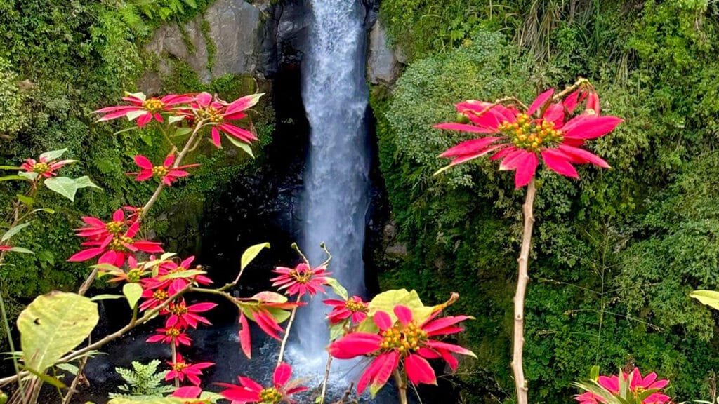 Into the Volcanic Wilderness: A Jeep Adventure to Merapi and Kedung Kayang Waterfall