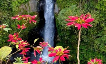 Into the Volcanic Wilderness: A Jeep Adventure to Merapi and Kedung Kayang Waterfall