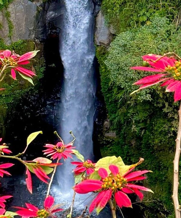 Into the Volcanic Wilderness: A Jeep Adventure to Merapi and Kedung Kayang Waterfall