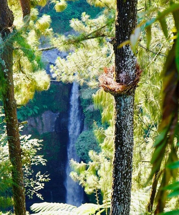 Kedung Kayang Waterfall