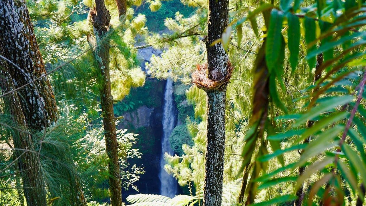 Kedung Kayang Waterfall