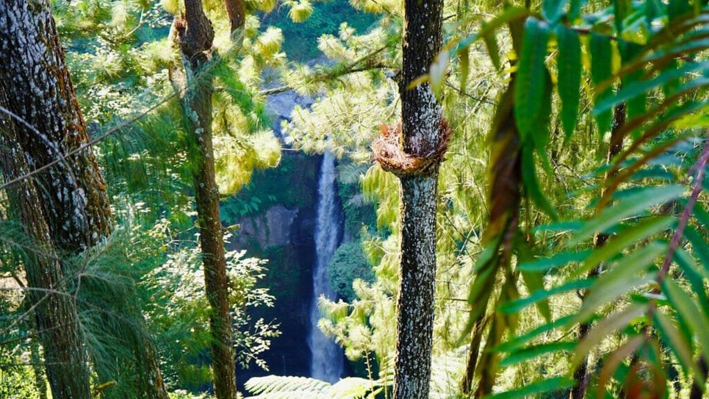 Nature's Playground: Exploring Merapi Volcano and Kedung Kayang Waterfall by Jeep