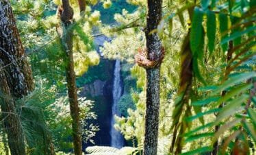 Nature's Playground: Exploring Merapi Volcano and Kedung Kayang Waterfall by Jeep