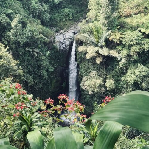 Merapi Volcano Jeep Tour & Kedung Kayang Waterfall